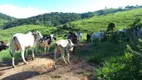 Foto 5 de Fazenda/Sítio com 2 Quartos à venda, 250m² em Bom Jardim, Manhuaçu