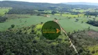 Foto 7 de Fazenda/Sítio à venda, 1113200m² em Zona Rural, Jaraguá