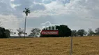 Foto 8 de Fazenda/Sítio à venda, 26m² em Zona Rural, Piracanjuba
