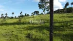 Foto 10 de Fazenda/Sítio à venda, 74844m² em Area Rural de Uberlandia, Uberlândia