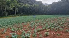 Foto 17 de Fazenda/Sítio com 1 Quarto à venda, 72600m² em Tindiquera, Araucária
