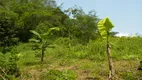 Foto 3 de Fazenda/Sítio com 1 Quarto à venda, 50000m² em Campo Grande, Rio de Janeiro