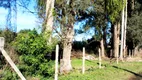 Foto 7 de Lote/Terreno para alugar, 2500m² em Ponta Grossa, Porto Alegre