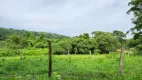 Foto 16 de Fazenda/Sítio com 4 Quartos à venda em Zona Rural, Aragoiânia