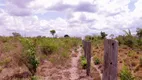 Foto 27 de Fazenda/Sítio com 2 Quartos à venda, 350m² em Zona Rural, São Geraldo do Araguaia