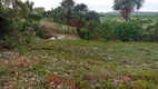 Foto 6 de Fazenda/Sítio com 2 Quartos à venda, 13000m² em Zona Rural, Faina