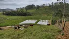 Foto 16 de Fazenda/Sítio com 2 Quartos à venda, 105000m² em Santa Cruz, São João do Itaperiú