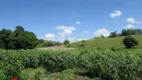 Foto 16 de Fazenda/Sítio com 2 Quartos à venda, 50000m² em Maraporã, Cachoeiras de Macacu