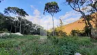 Foto 4 de Lote/Terreno à venda, 2495m² em Itaipava, Petrópolis