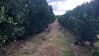 Foto 10 de Fazenda/Sítio à venda em Jardim Urano, São José do Rio Preto