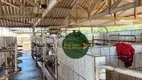 Foto 12 de Fazenda/Sítio à venda, 242000m² em Zona Rural, Piracanjuba