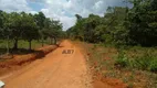 Foto 54 de Fazenda/Sítio com 6 Quartos à venda, 10000m² em Distrito de Roselandia, Bela Vista de Goiás