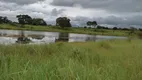 Foto 4 de Fazenda/Sítio à venda em Setor Central, Arraias