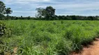 Foto 3 de Fazenda/Sítio à venda, 484000m² em Zona Rural, Itapirapuã