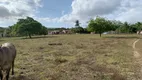 Foto 28 de Fazenda/Sítio com 3 Quartos à venda, 121000m² em Centro, Areia Branca