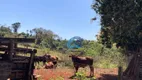 Foto 10 de Fazenda/Sítio com 2 Quartos à venda, 150m² em Area Rural de Artur Nogueira, Artur Nogueira