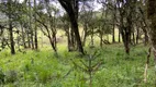 Foto 9 de Fazenda/Sítio à venda, 20000m² em Vacas Gordas, Urubici