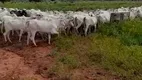 Foto 4 de Fazenda/Sítio à venda, 40000000m² em Zona Rural, Barra do Garças