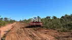 Foto 4 de Fazenda/Sítio à venda, 13000m² em Zona Rural, Ponte Alta do Tocantins