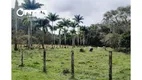 Foto 11 de Fazenda/Sítio à venda, 890000m² em Zona Rural, Pariquera-Açu