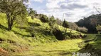 Foto 26 de Fazenda/Sítio com 3 Quartos à venda, 36300m² em Roça Velha, São José dos Pinhais