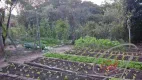 Foto 10 de Fazenda/Sítio com 5 Quartos para venda ou aluguel, 6250m² em Brigadeiro Tobias, Sorocaba