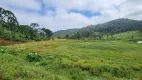 Foto 4 de Fazenda/Sítio com 5 Quartos à venda, 435600m² em Campo Alto, Tijucas do Sul