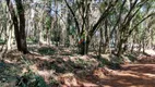 Foto 5 de Lote/Terreno à venda, 1382m² em Chácaras Nova Germânia, Campo Limpo Paulista