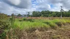 Foto 18 de Lote/Terreno à venda, 266m² em Barra de Itapocú, Araquari