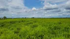 Foto 11 de Fazenda/Sítio à venda, 6135000m² em Zona Rural, Santo Antônio do Leverger