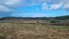 Foto 17 de Lote/Terreno à venda em Centro, Baía Formosa