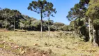 Foto 2 de Fazenda/Sítio à venda, 20000m² em Zona Rural, Urupema