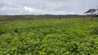 Foto 7 de Fazenda/Sítio à venda, 430000m² em Zona Rural, Itaguara