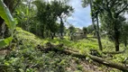 Foto 5 de Lote/Terreno à venda, 390m² em Caneca Fina, Guapimirim