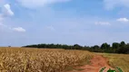 Foto 3 de Fazenda/Sítio com 4 Quartos à venda, 450m² em Area Rural de Uberlandia, Uberlândia