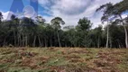 Foto 4 de Lote/Terreno à venda, 5000m² em Bateias de Baixo, Campo Alegre