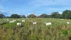 Foto 10 de Fazenda/Sítio com 3 Quartos à venda, 2289320m² em Zona Rural, Pugmil