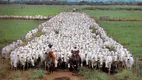 Foto 18 de Fazenda/Sítio com 20 Quartos à venda, 149000000m² em Zona Rural, Rondolândia