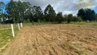 Foto 4 de Lote/Terreno à venda, 2000m² em Águas Claras, Viamão