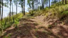 Foto 14 de Fazenda/Sítio à venda, 12160m² em Parque Mirante de Parnaiba, Santana de Parnaíba