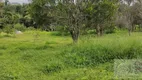 Foto 21 de Fazenda/Sítio com 3 Quartos à venda, 18m² em Zona Rural, Cocalzinho de Goiás