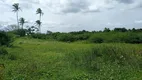 Foto 3 de Fazenda/Sítio à venda, 1500000m² em Guajiru, São Gonçalo do Amarante