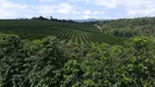 Foto 21 de Fazenda/Sítio com 2 Quartos à venda, 1930000m² em Zona Rural, Três Corações