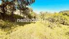 Foto 10 de Fazenda/Sítio à venda, 13225m² em Tereza Cristina, São Joaquim de Bicas