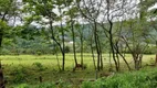 Foto 15 de Fazenda/Sítio com 3 Quartos à venda, 100m² em , Nova Petrópolis