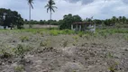 Foto 15 de Fazenda/Sítio com 3 Quartos à venda, 150000m² em Centro, São Gonçalo do Amarante