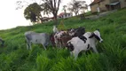 Foto 4 de Fazenda/Sítio com 1 Quarto à venda, 350900m² em Zona Rural, Piracicaba