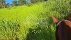 Foto 3 de Fazenda/Sítio com 3 Quartos à venda, 10m² em Centro, Luislândia