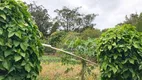 Foto 21 de Fazenda/Sítio com 3 Quartos à venda, 150m² em Caxangá, Suzano