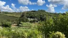 Foto 34 de Lote/Terreno à venda, 10000m² em Vale dos Vinhedos, Bento Gonçalves